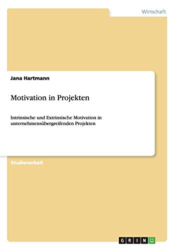 Motivation in Projekten: Intrinsische und Extrinsische Motivation in unternehmensübergreifenden Projekten