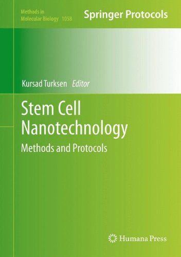 Stem Cell Nanotechnology: Methods and Protocols (Methods in Molecular Biology)