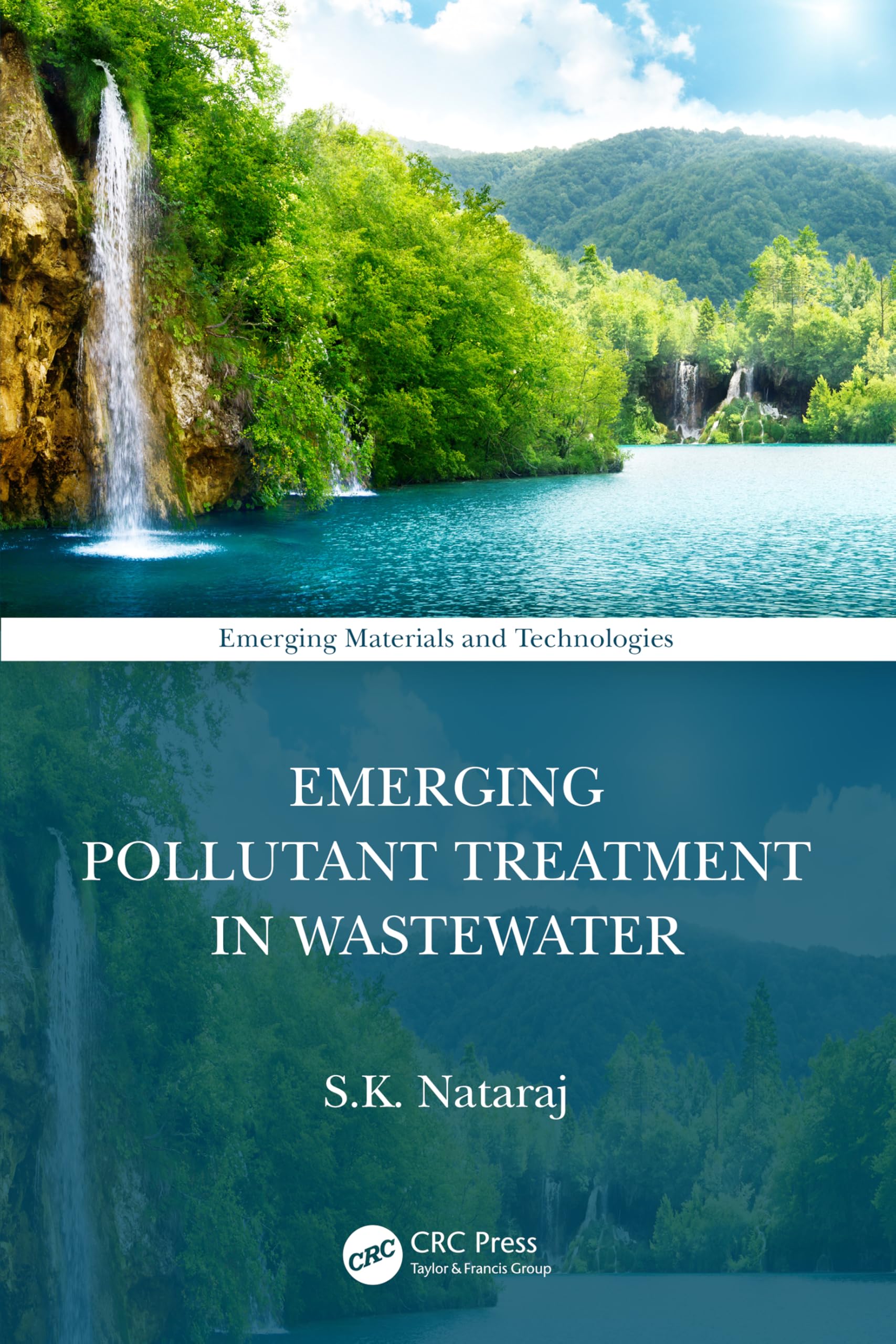 Emerging Pollutant Treatment in Wastewater (Emerging Materials and Technologies)