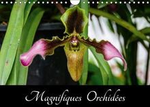 Magnifiques Orchidées (Calendrier mural 2018 DIN A4 horizontal): Belles photographies d'orchidées exotiques (Calendrier mensuel, 14 Pages ) (Calvendo Nature) [Kalender] [Apr 01, 2017] Woehlke, Juergen