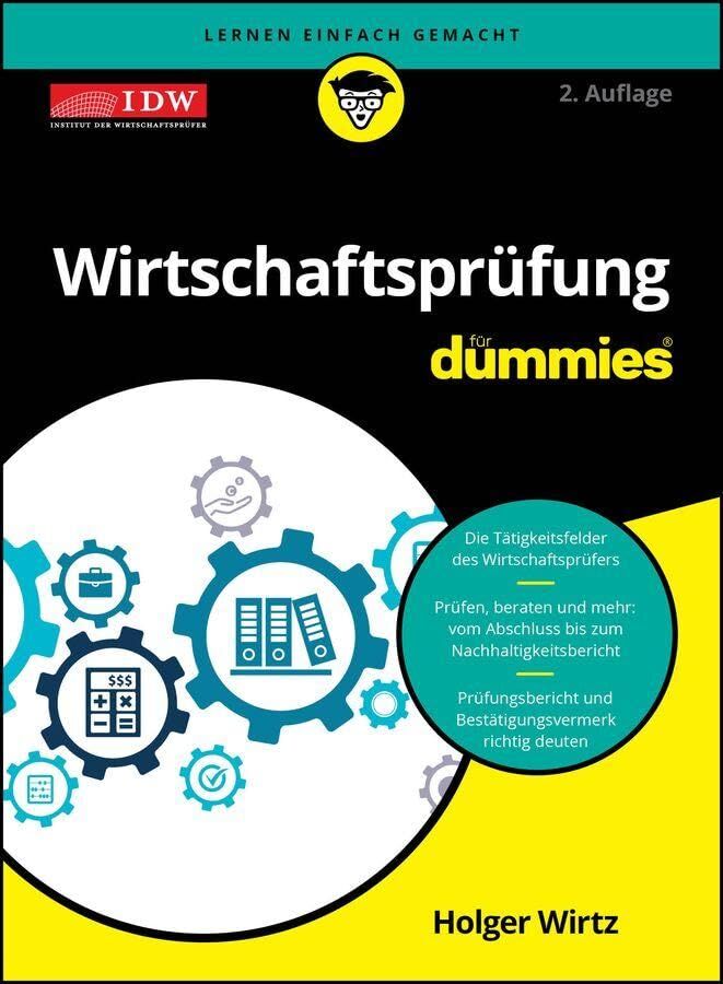 Wirtschaftsprüfung für Dummies