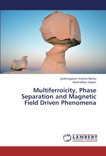 Multiferroicity, Phase Separation and Magnetic Field Driven Phenomena