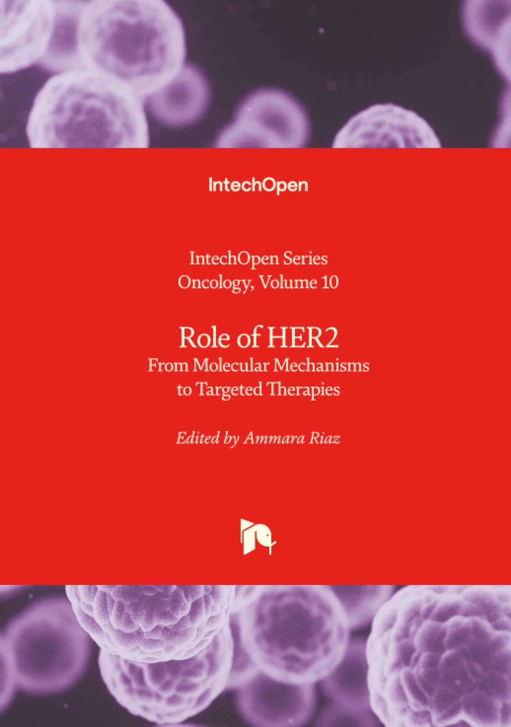 Role of HER2 - From Molecular Mechanisms to Targeted Therapies (Oncology, Band 10)