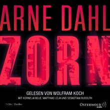 Arne Dahl: Zorn (6 CDs)