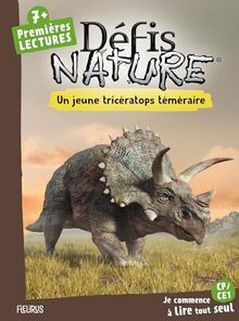 Un jeune tricératops téméraire