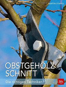 Obstgehölzschnitt: Die richtigen Techniken