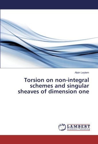 Torsion on non-integral schemes and singular sheaves of dimension one