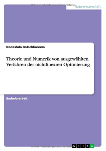 Theorie und Numerik von ausgewählten Verfahren der nichtlinearen Optimierung