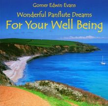 For Your Well Being von Gomer Edwin Evans | CD | Zustand sehr gut