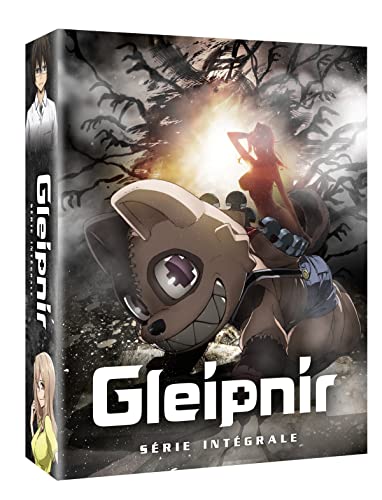Gleipnir - saison 1 [Blu-ray] [FR Import]
