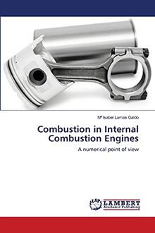 Combustion in Internal Combustion Engines: A numerical point of view