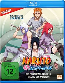 Naruto Shippuden - Staffel 6: Folge 333-363 - Die Prophezeiung und Rache des Meisters (Uncut) [Blu-ray]