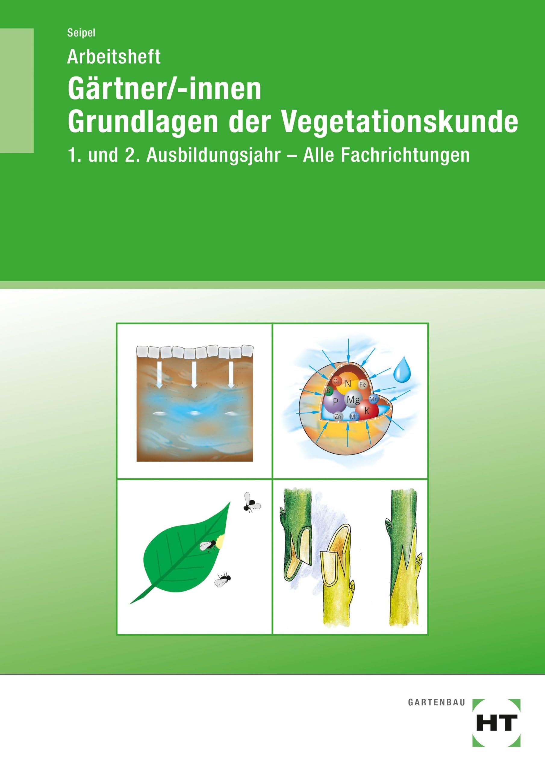 Arbeitsheft Gärtner/-innen Grundlagen der Vegetationskunde: 1. und 2. Ausbildungsjahr - Alle Fachrichtungen