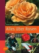 Alles über Rosen: Verwendung, Sorten, Praxis