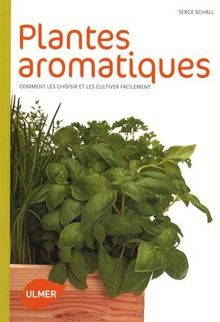 Plantes aromatiques : comment les choisir et les cultiver facilement