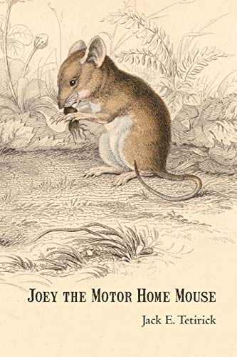 Joey The Motor Home Mouse