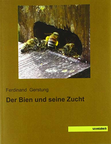 Der Bien und seine Zucht