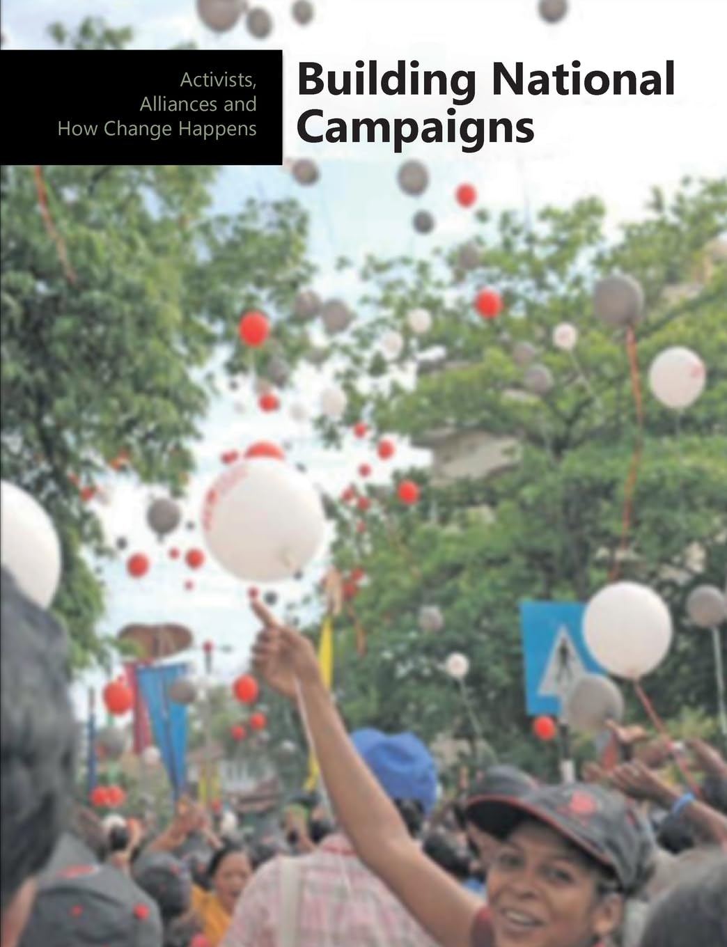 Building National Campaigns: Activists, Alliances, and How Change Happens