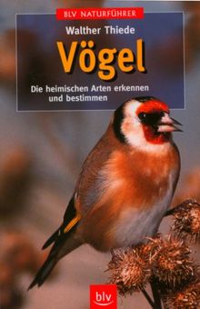 Vögel: Die heimischen Arten erkennen und bestimmen