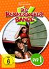 Die Knickerbockerbande - DVD 1