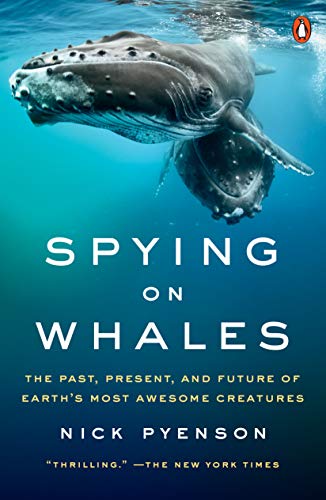 Nick Pyenson Spying On Whales, The Past, Present, And Future Of Earth's Most Awesome Creatures