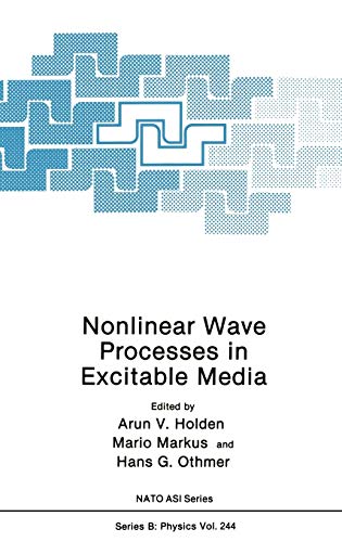 Nonlinear Wave Processes in Excitable Media (Nato Science Series B:, 244, Band 244)