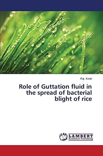 Role of Guttation fluid in the spread of bacterial blight of rice