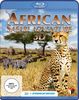 African Safari Adventure [3D Blu-ray]