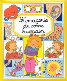 L'imagerie du corps humain