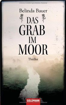 Das Grab im Moor: Thriller