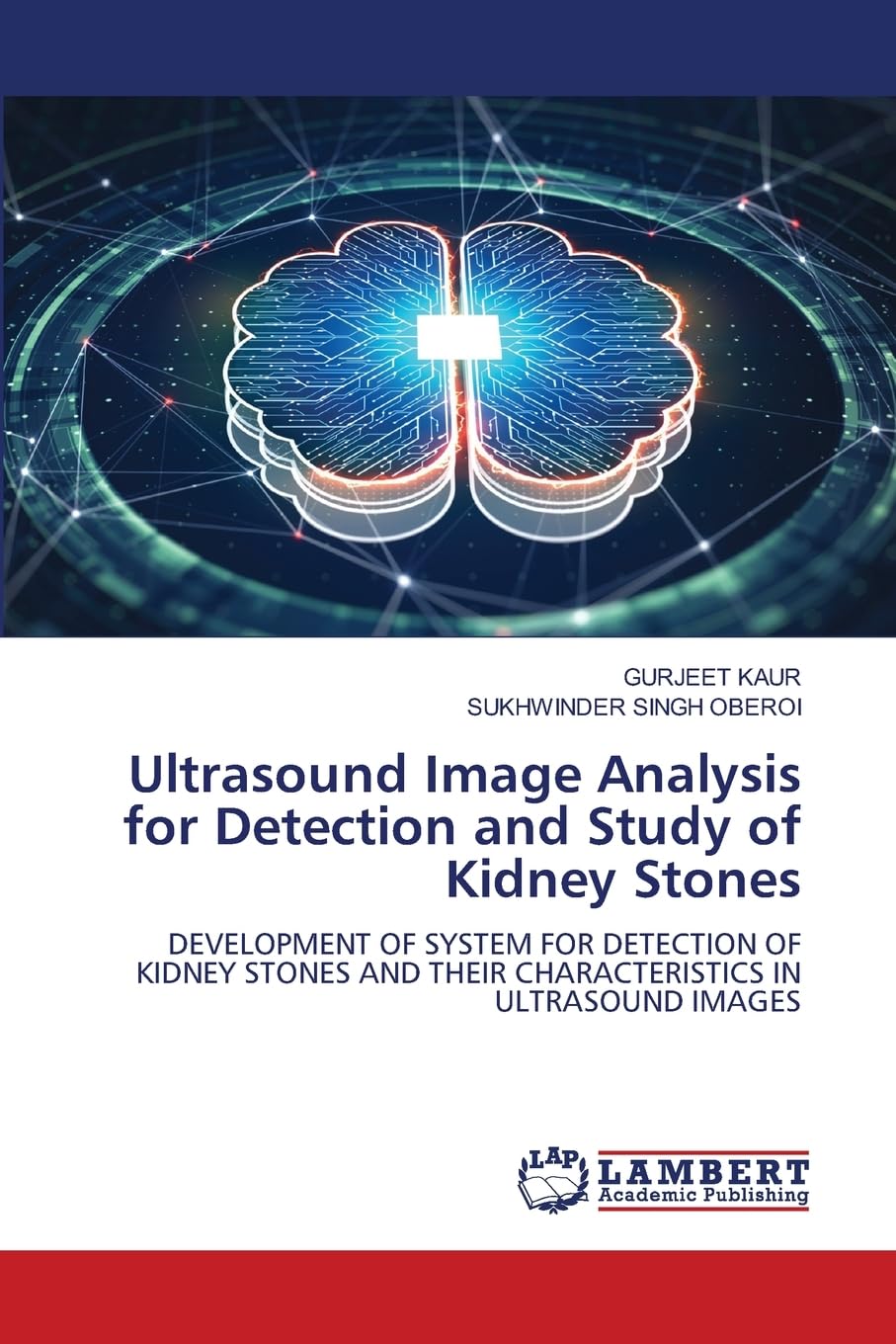 Ultrasound Image Analysis for Detection and Study of Kidney Stones ...
