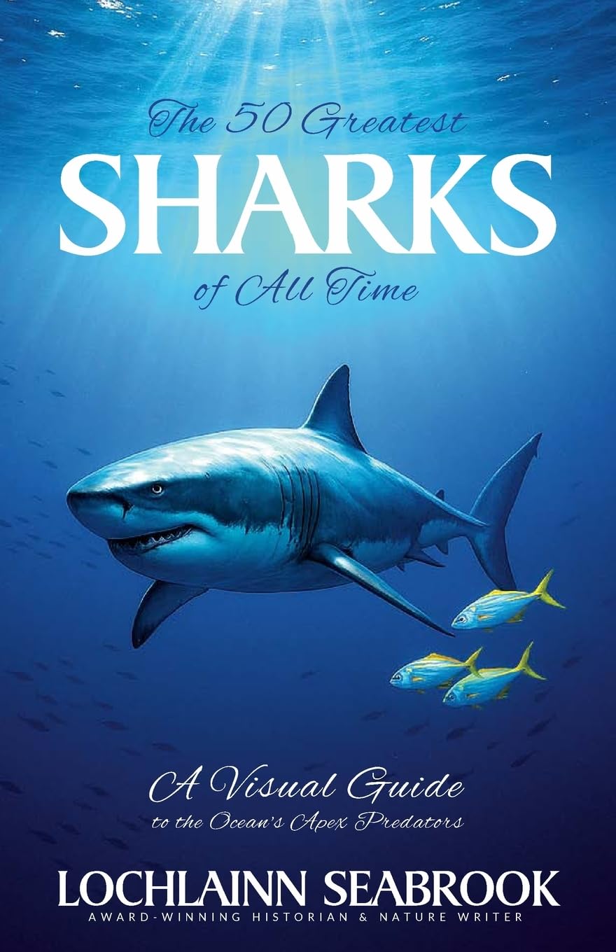 The Greatest Sharks of All Time: A Visual Guide to the Ocean's Apex Predators