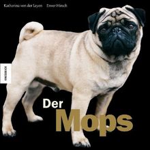 Der Mops: Ein Wunder der Natur