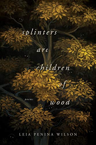 Splinters Are Children of Wood (The Ernest Sandeen Prize in Poetry)