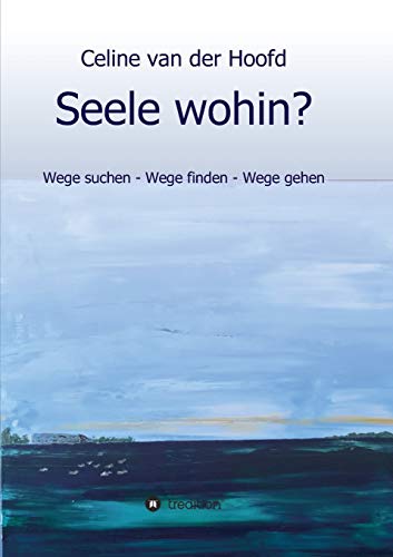 Seele wohin? - Celine van der Hoofd Kartoniert (TB)