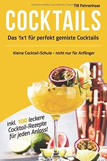 Das 1 x 1 für perfekt gemixte Cocktails: Kleine Cocktail-Schule - nicht nur für Anfänger inklusive 100 leckere Cocktail-Rezepte für jeden Anlass