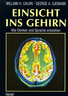 Einsicht ins Gehirn: Wie Denken und Sprache entstehen