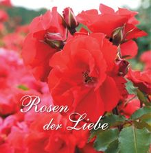 Rosen der Liebe