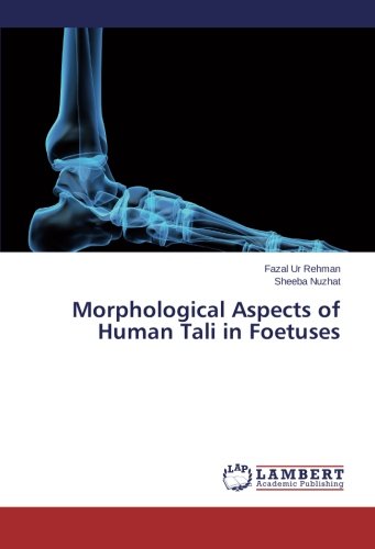 Morphological Aspects of Human Tali in Foetuses