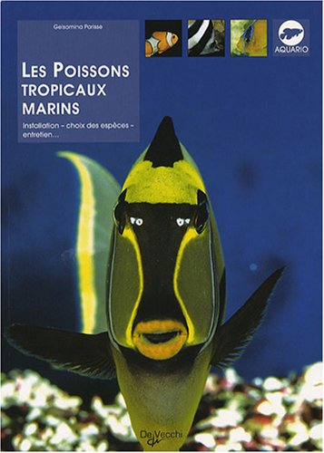 Les Poissons Tropicaux Marins