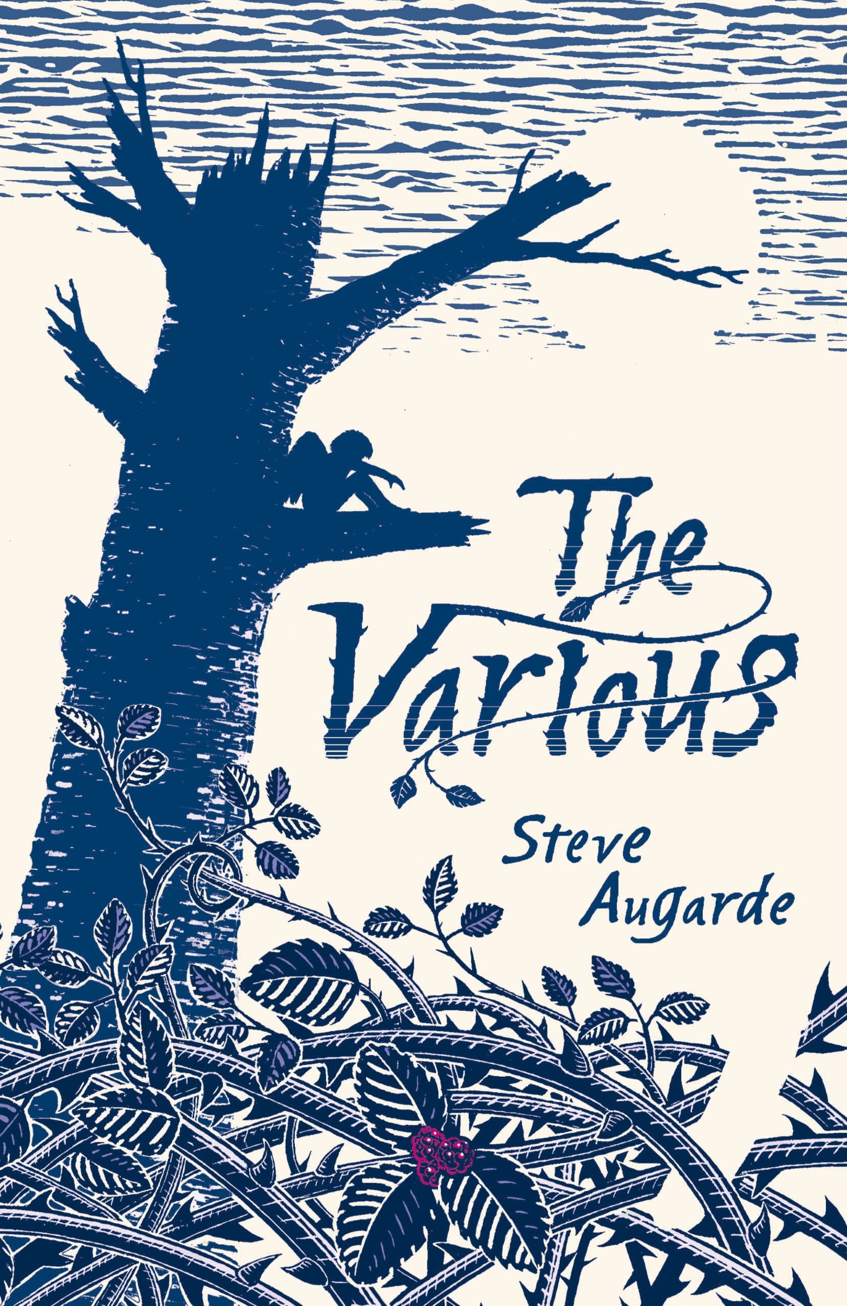 The Various: The Touchstone Trilogy (The Various, 1)