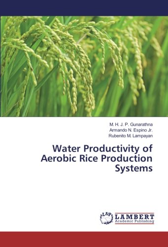 Water Productivity of Aerobic Rice Production Systems