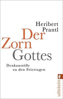 Der Zorn Gottes: Denkanstöße zu den Feiertagen