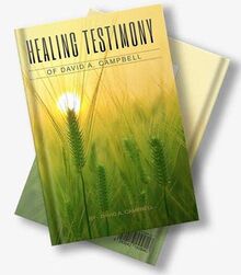 David Kindle Ministry (2021) (The Healing Testimony of David A. Campbell)