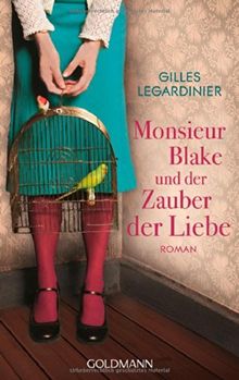 Monsieur Blake und der Zauber der Liebe: Roman