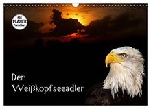 Der Weißkopfseeadler (Wandkalender 2023 DIN A3 quer), Calvendo Monatskalender
