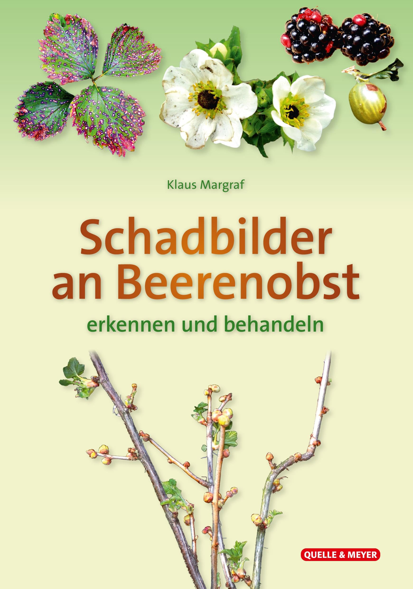 Schadbilder an Beerenobst: erkennen und behandeln (Quelle & Meyer Bestimmungskarten)