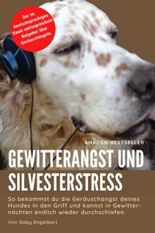 Gewitterangst und Silvesterstress: So bekommst du die Geräuschangst deines Hundes erfolgreich in den Griff und kannst in Gewitternächten endlich wieder durchschlafen.