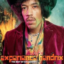 Experience Hendrix: the Best of (Ltd.Pur Edt.) de Jimi Hendrix | CD | état acceptable