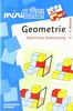 miniLÜK: Geometrie: Räumliches Denktraining für Klasse 2 bis 4